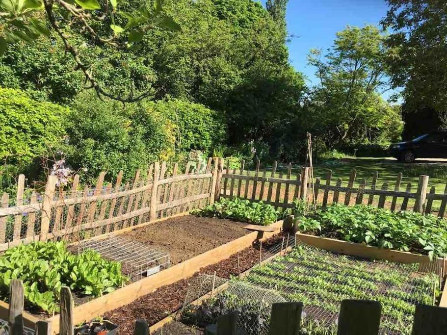 Masons Cottage, An Idyllic Retreat In An Area Of Outstanding Beauty, Close To Blenheim Palace, Oxford & The Cotswolds Stonesfield المظهر الخارجي الصورة